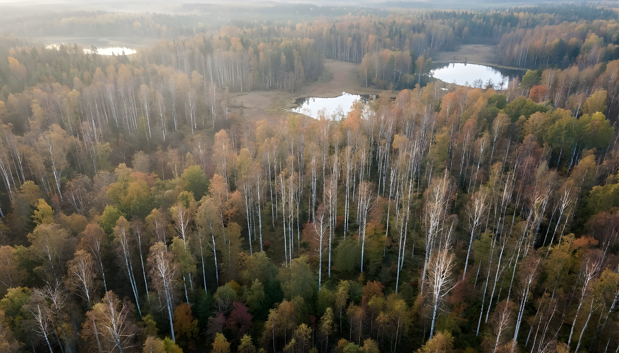 Doğal ahşap mobilyalar.